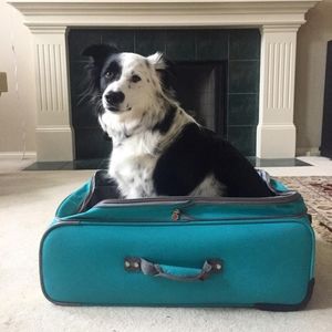 Meet your Posher, Laura